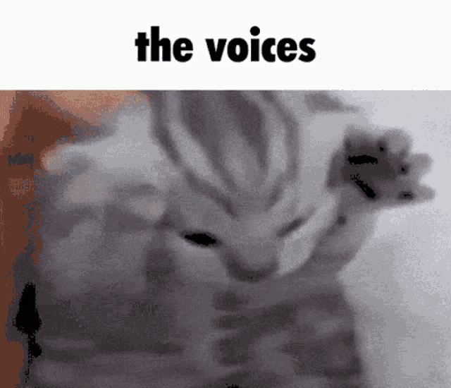 1664824007013