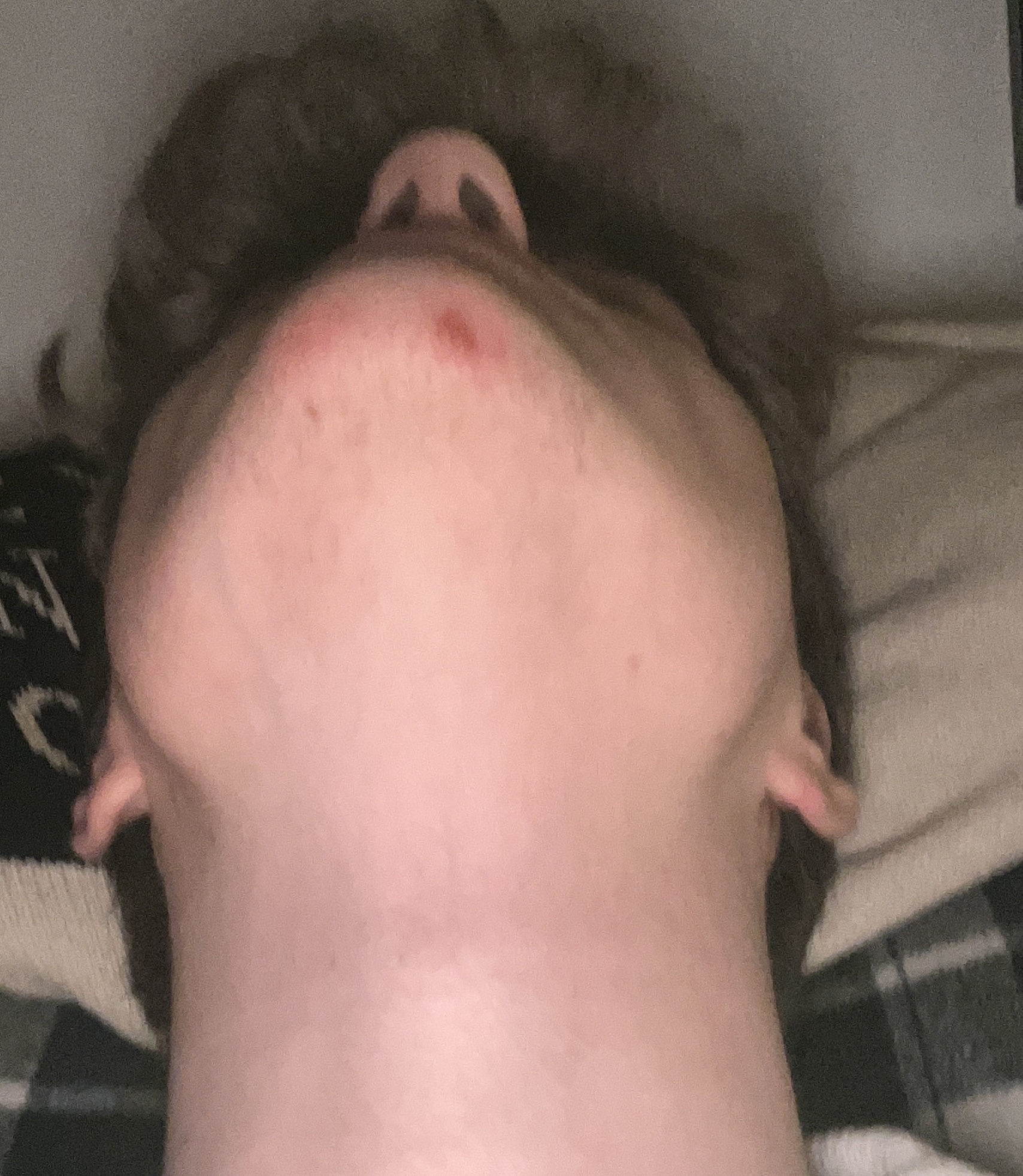 493B8C42 8EDD 40D1 9B94 F843E101605C