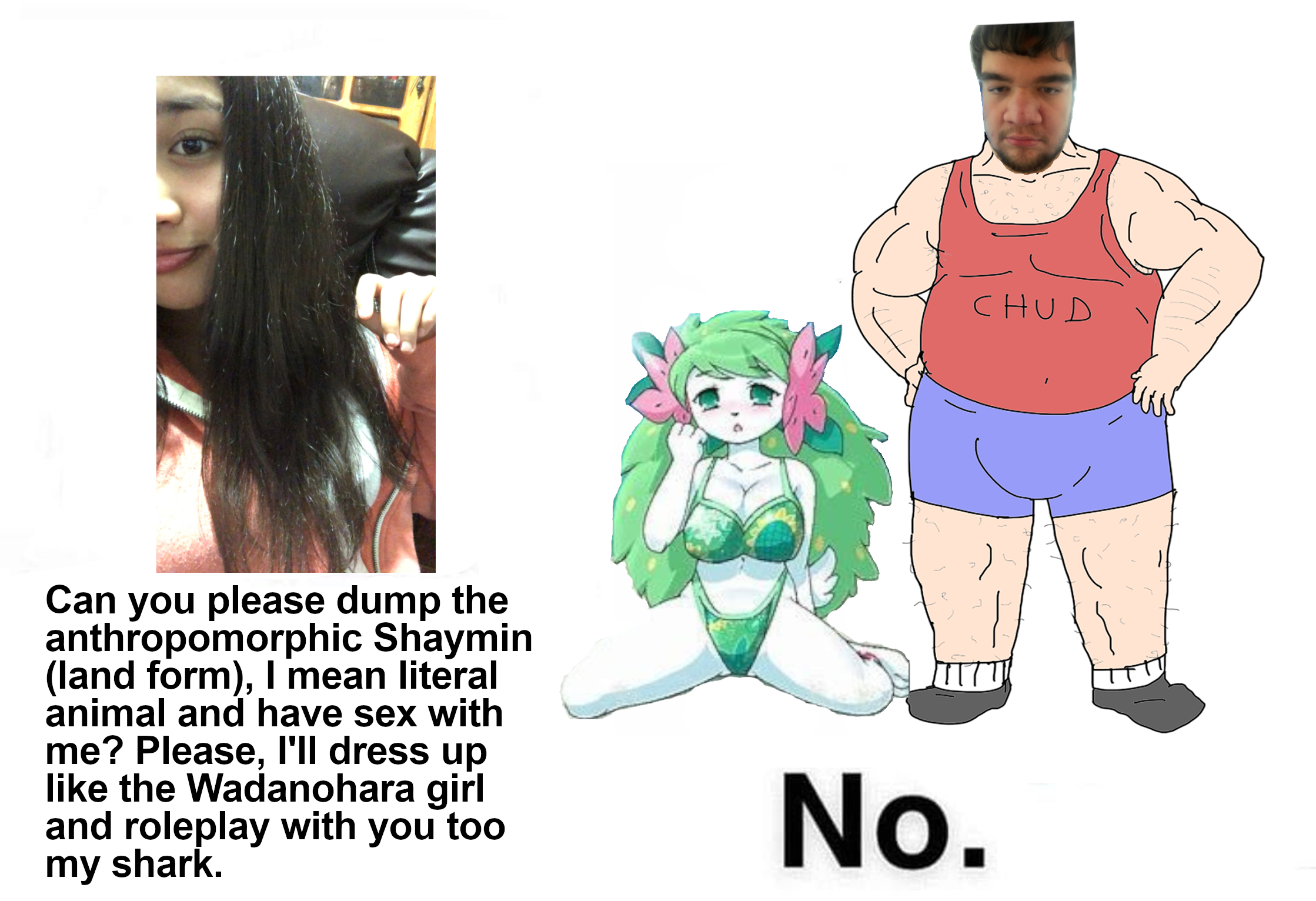 Rikigigachudv3