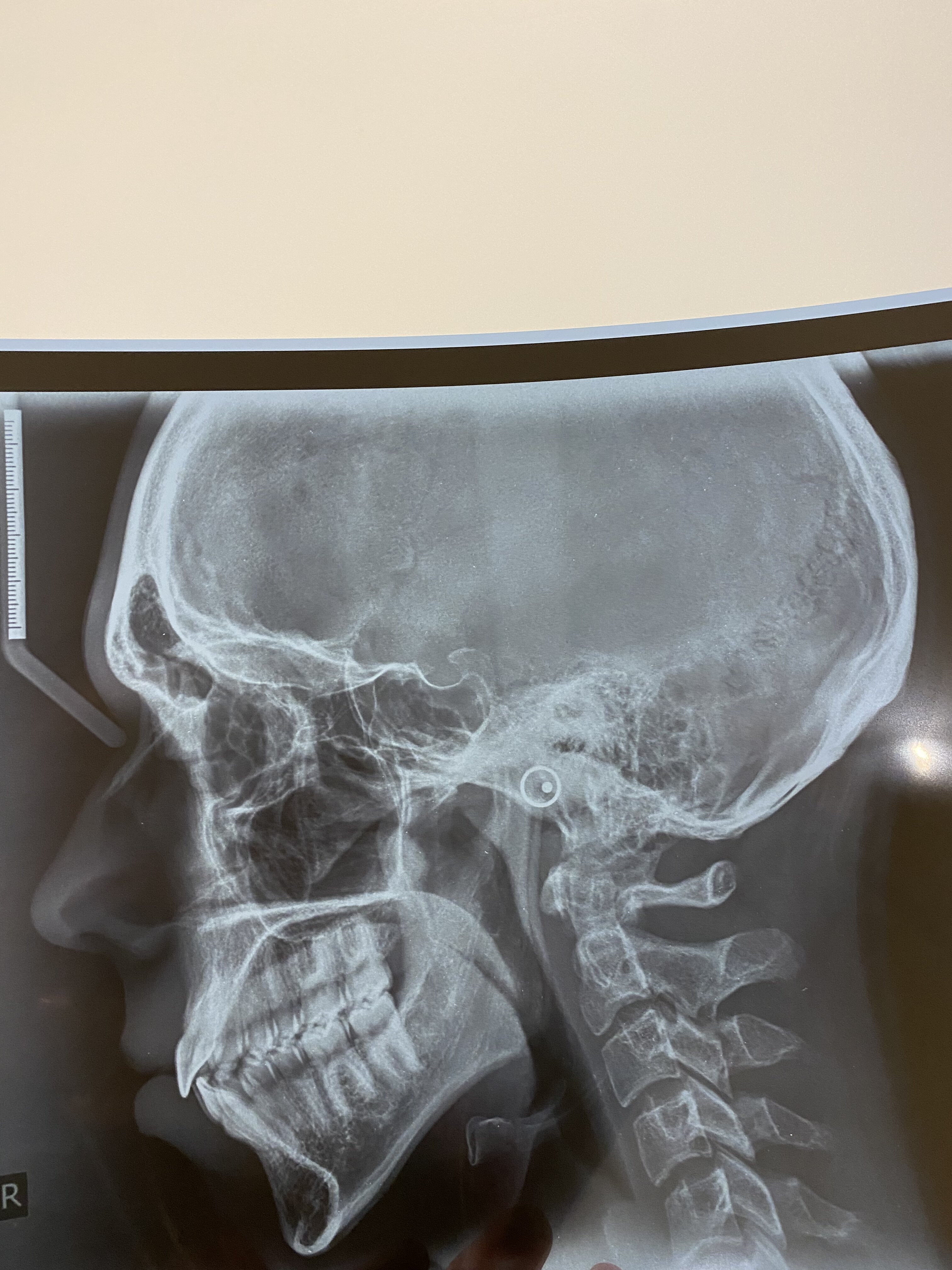 CEC68388 A320 4EBB B589 69203EB9D3D5