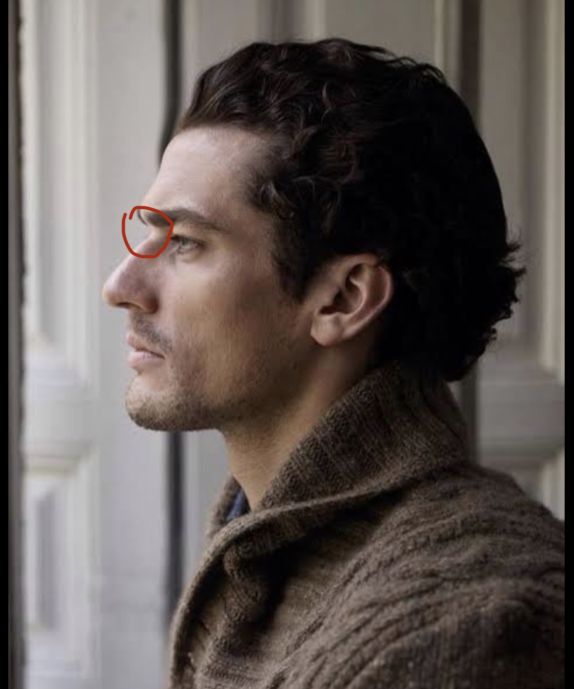 1896F0F5 AEDD 46A7 9A8A 3AACC1164C39