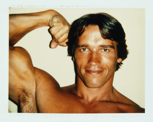 Arnold Schwarzenegger 02