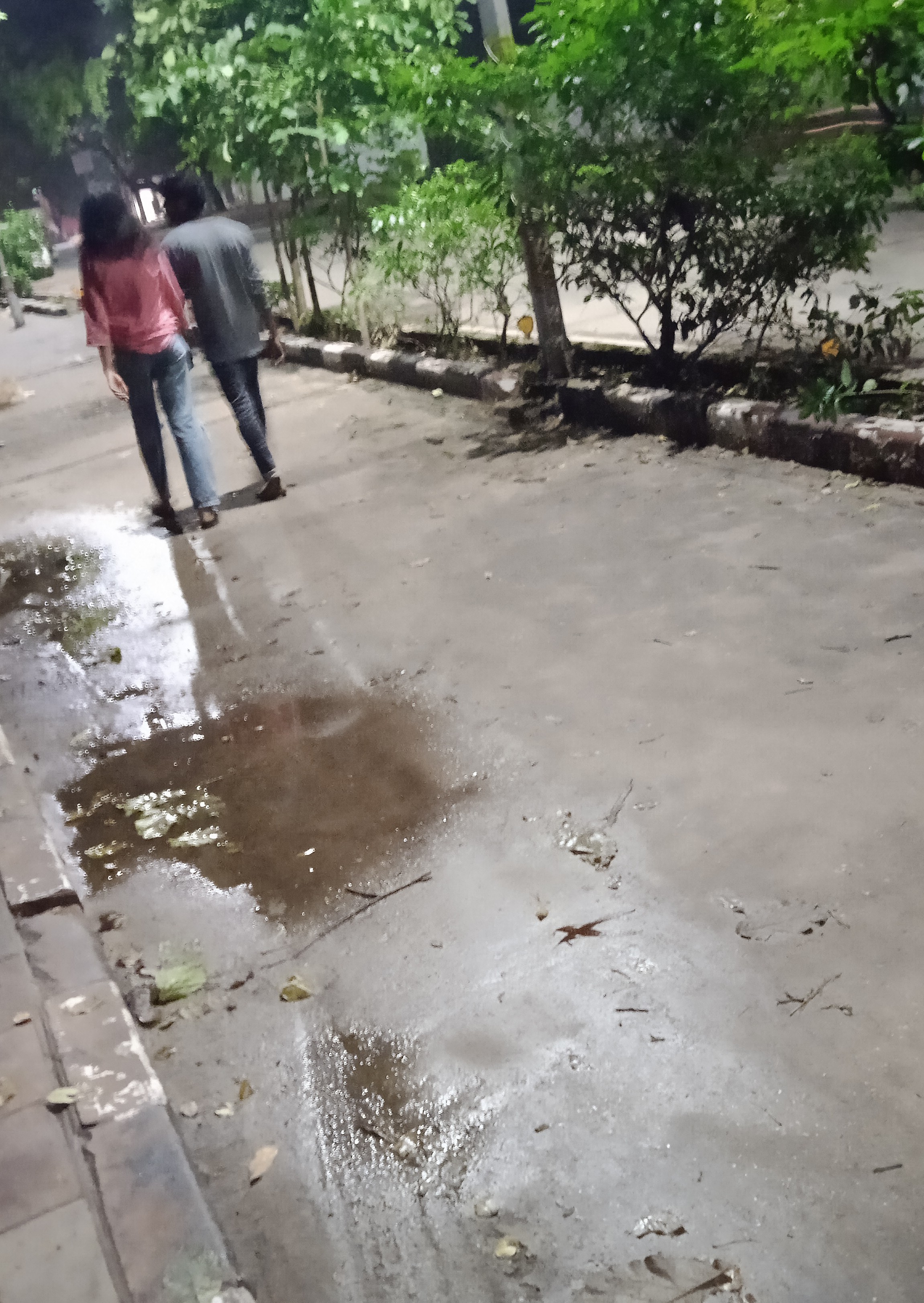 IMG 20221010 1919252