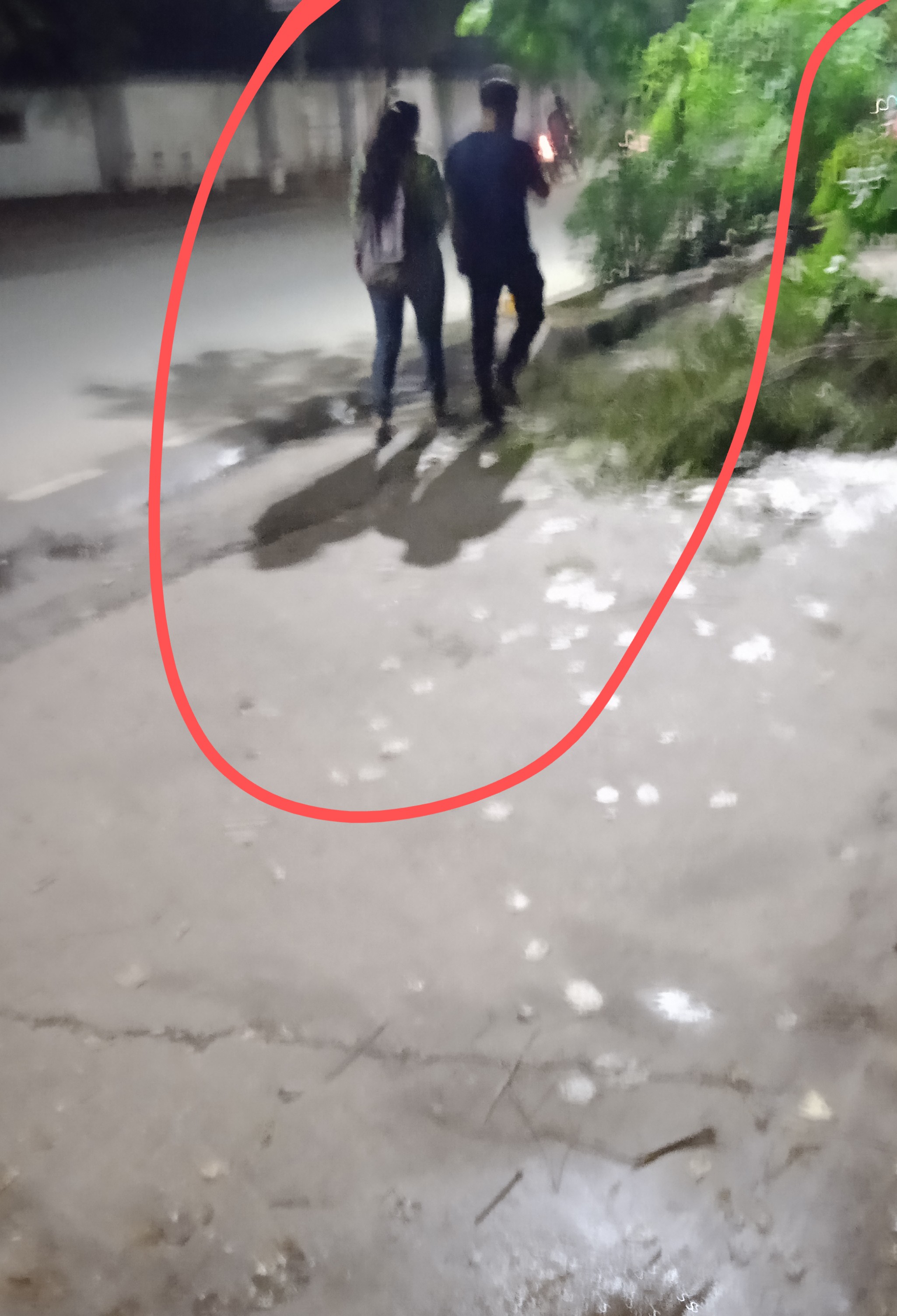 IMG 20221010 1917302