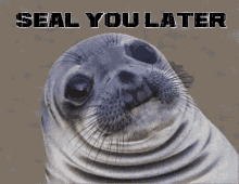 See you later seal you later