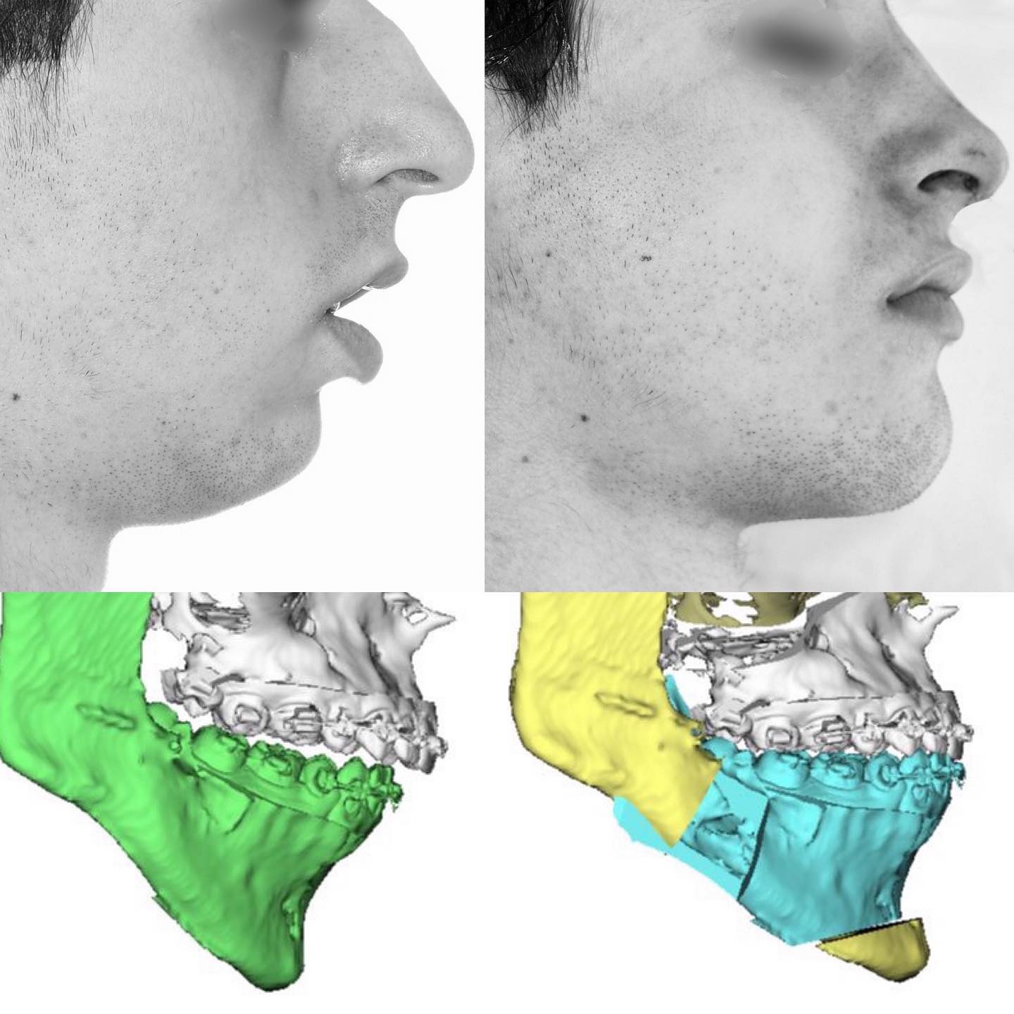 290353237 354050526803975 1630638768073837706 n