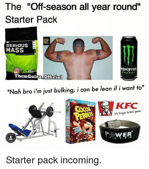 The off season all year round starter pack serious mass ener 16496609
