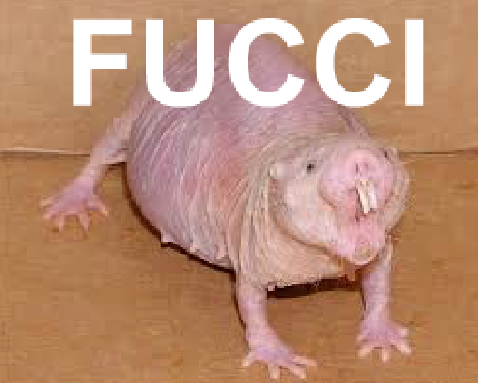 672A5555 33A7 4254 A62B 3EE1C5867F51