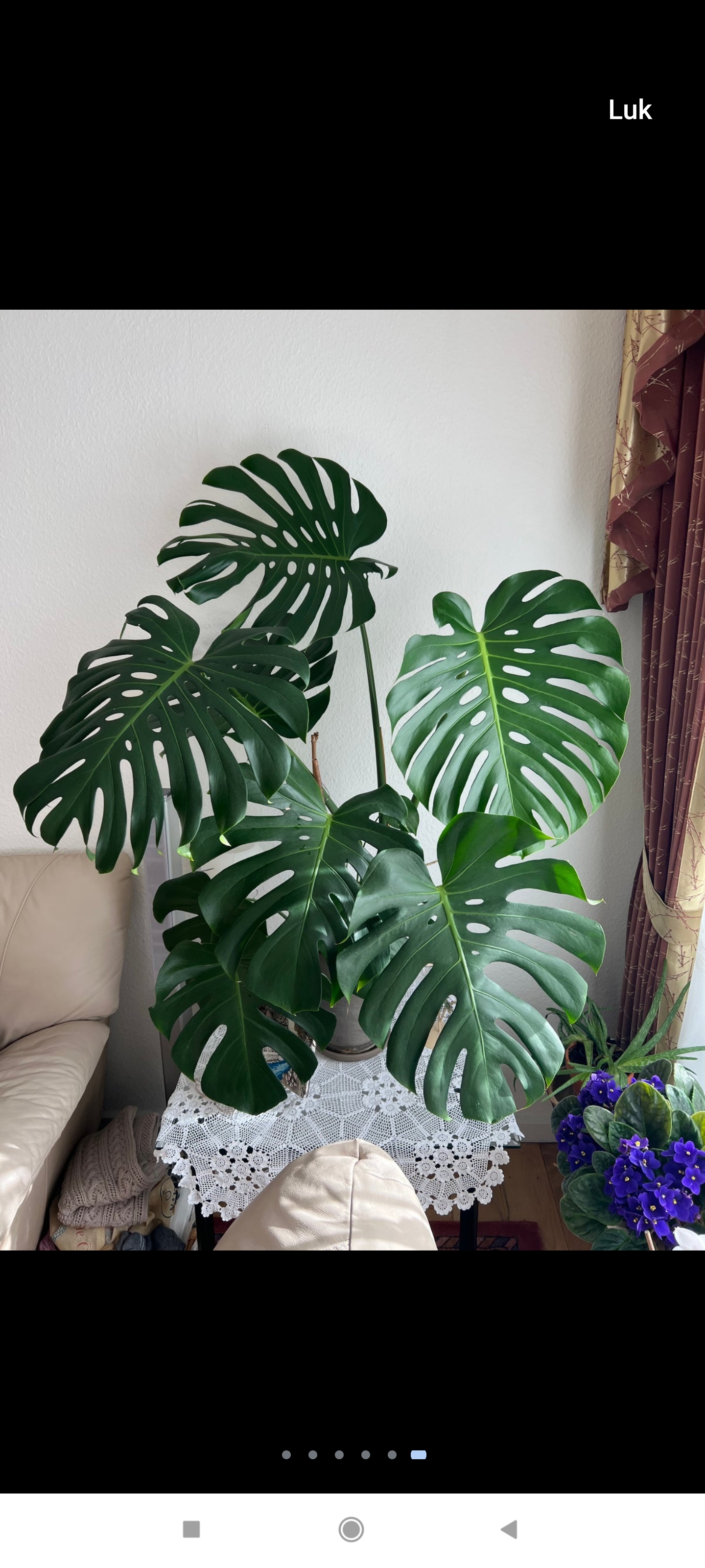 Screenshot 2022 10 20 22 32 42 382 dkdbaandroid