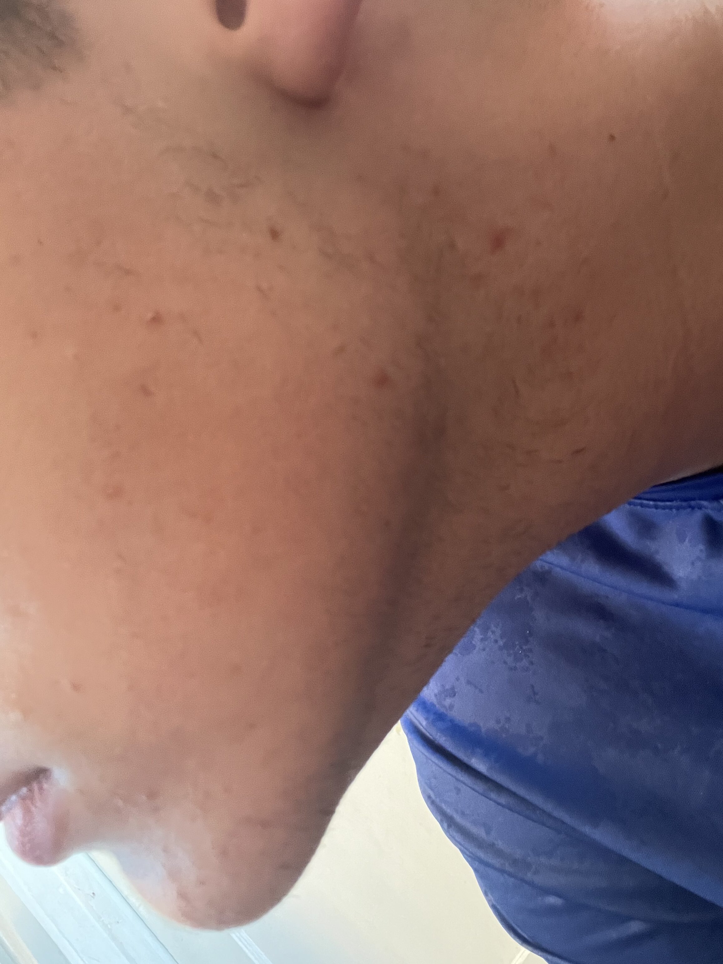 8F53A9C0 8266 48AB BA80 A81D1EA59F3D