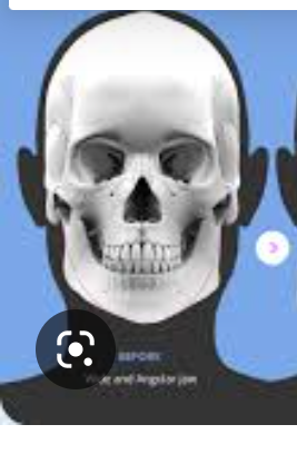 Screenshot 20221021 182741