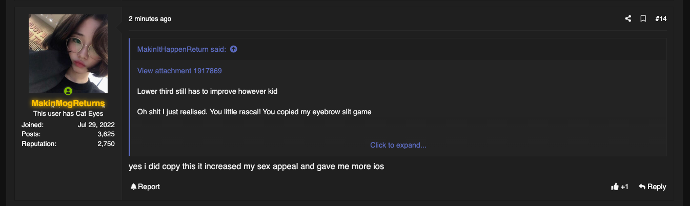 1666381992411