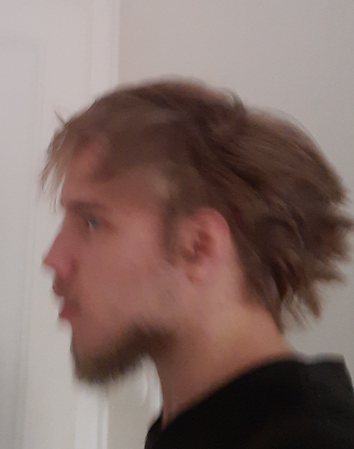 1864040610