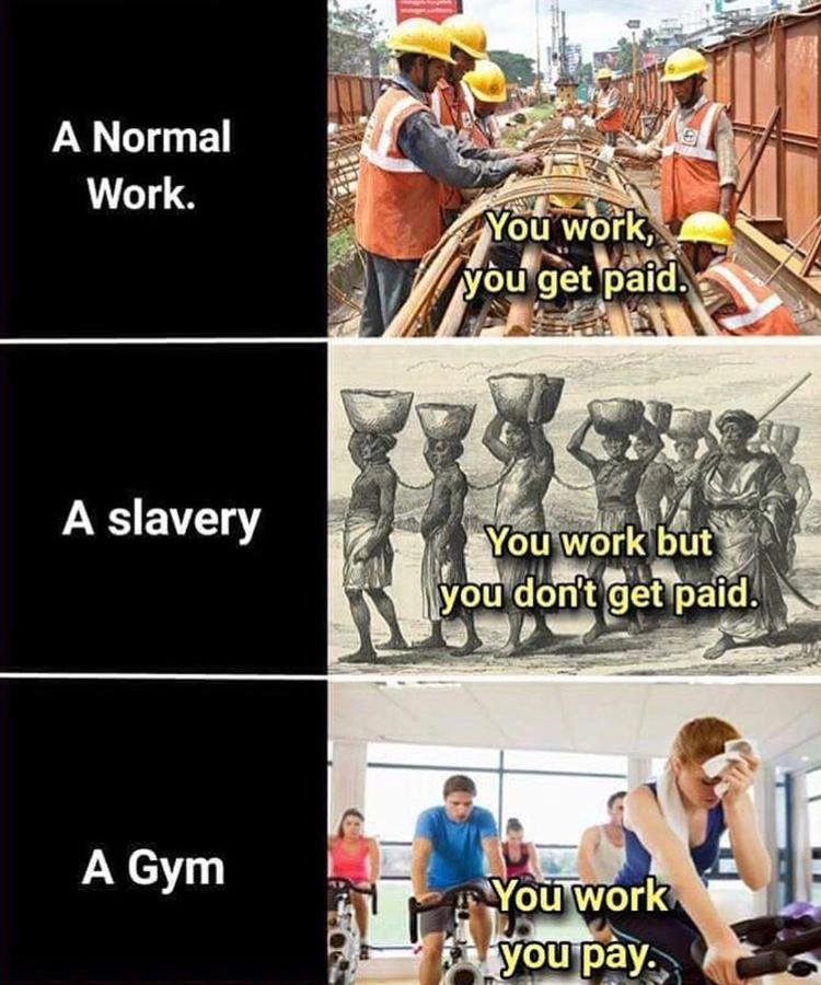 1666510053294
