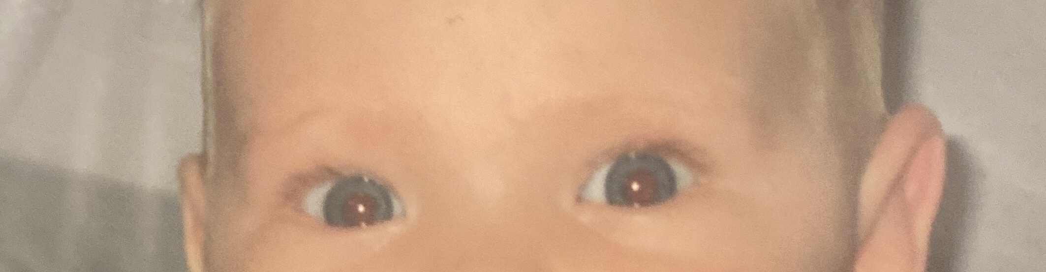 1666629848737