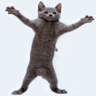 Real giphy resized 320x320 by ezgif