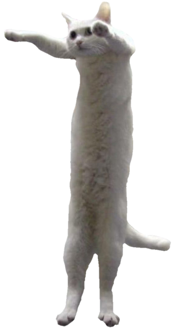 1666787113173