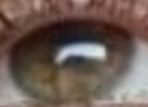 Screenshot 20221027 135423 Gallery