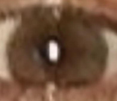 Screenshot 20221027 135435 Gallery