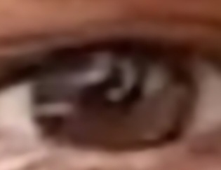 Screenshot 20221027 135449 Gallery