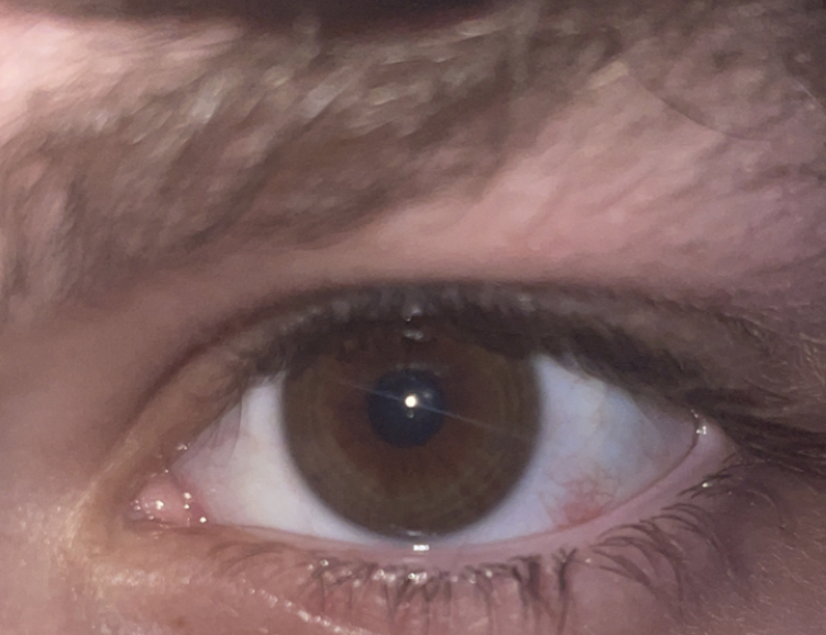 F38DC7EB C6E6 4BF4 BE98 A5B34EEF0A4C