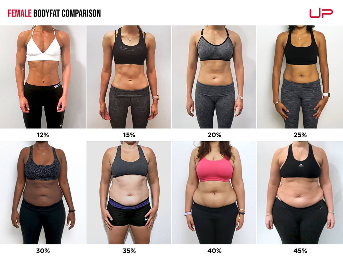 Female Bodyfat Comparison WEB 1
