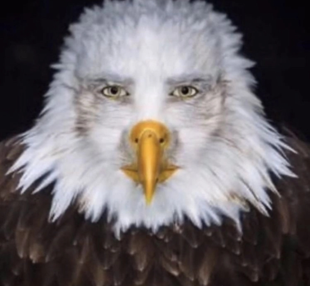 Screenshot 20221031 190237