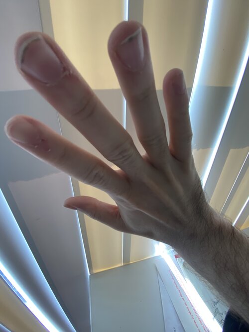 1F88CE87-DDC0-4F19-B2E4-6772FD3C7F86.jpeg