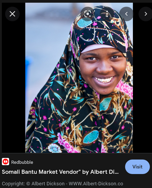 Screenshot 2022-10-11 at 01-41-34 bantu somalis - Google Search.png