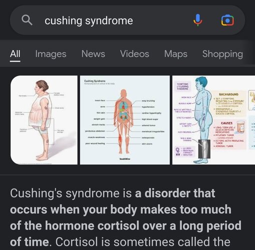 Screenshot_20221023-043705_Google.jpg