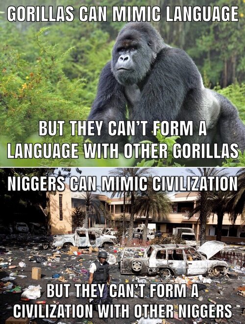 56EA9746-5A6F-4708-AF91-B014242AC042.jpeg