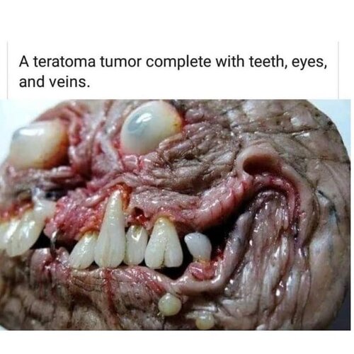 lsefvfamjx741.jpg