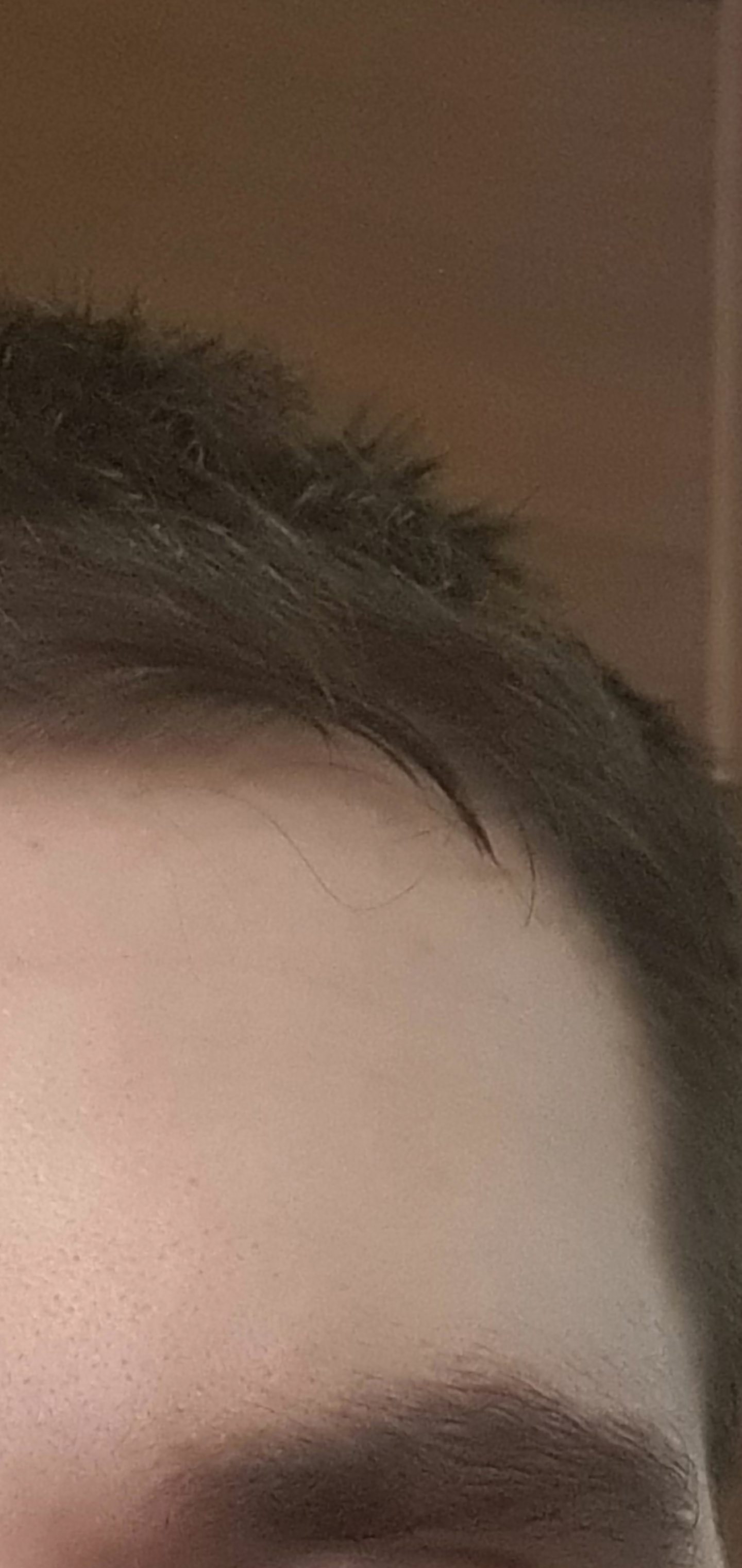 Screenshot 20221101 090121 Gallery