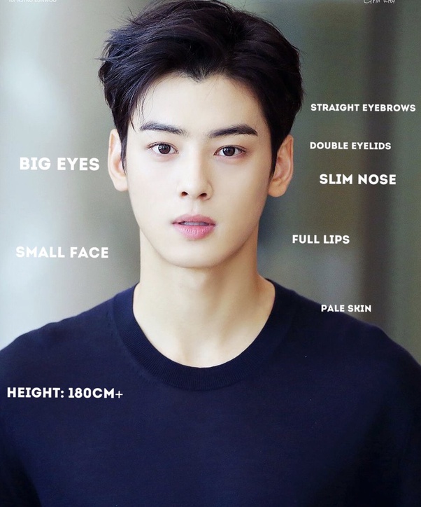 3131028 BEauty standards 1