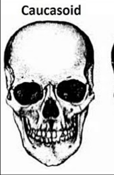 1667670718813