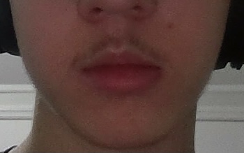 3B4EE425 327D 44DA AFFE BB0D7B55EC50