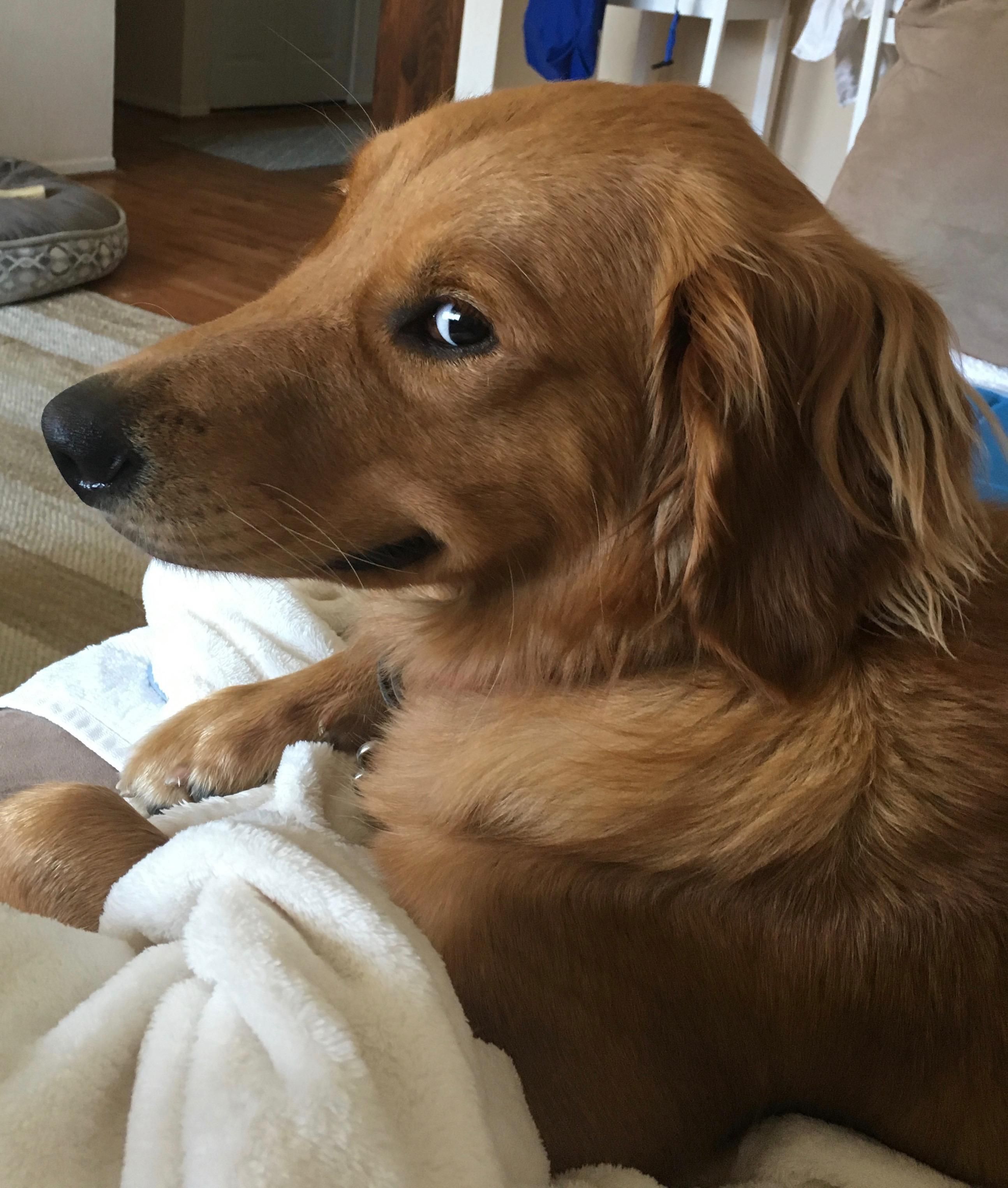 BA0F3F6D E592 4C4B B836 CFA98F9F253E