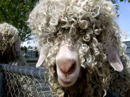 79E39554 8AD5 45FA 8C7B 3CFC2FD47F01