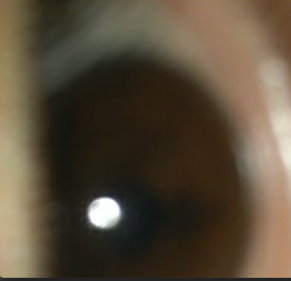 1668008665994