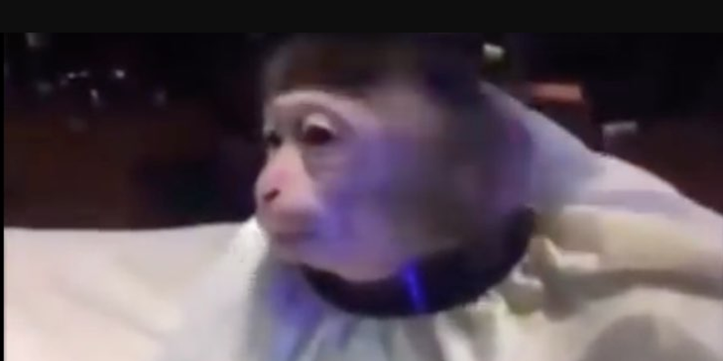 1668040414930