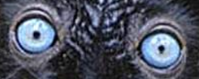 1668121030111