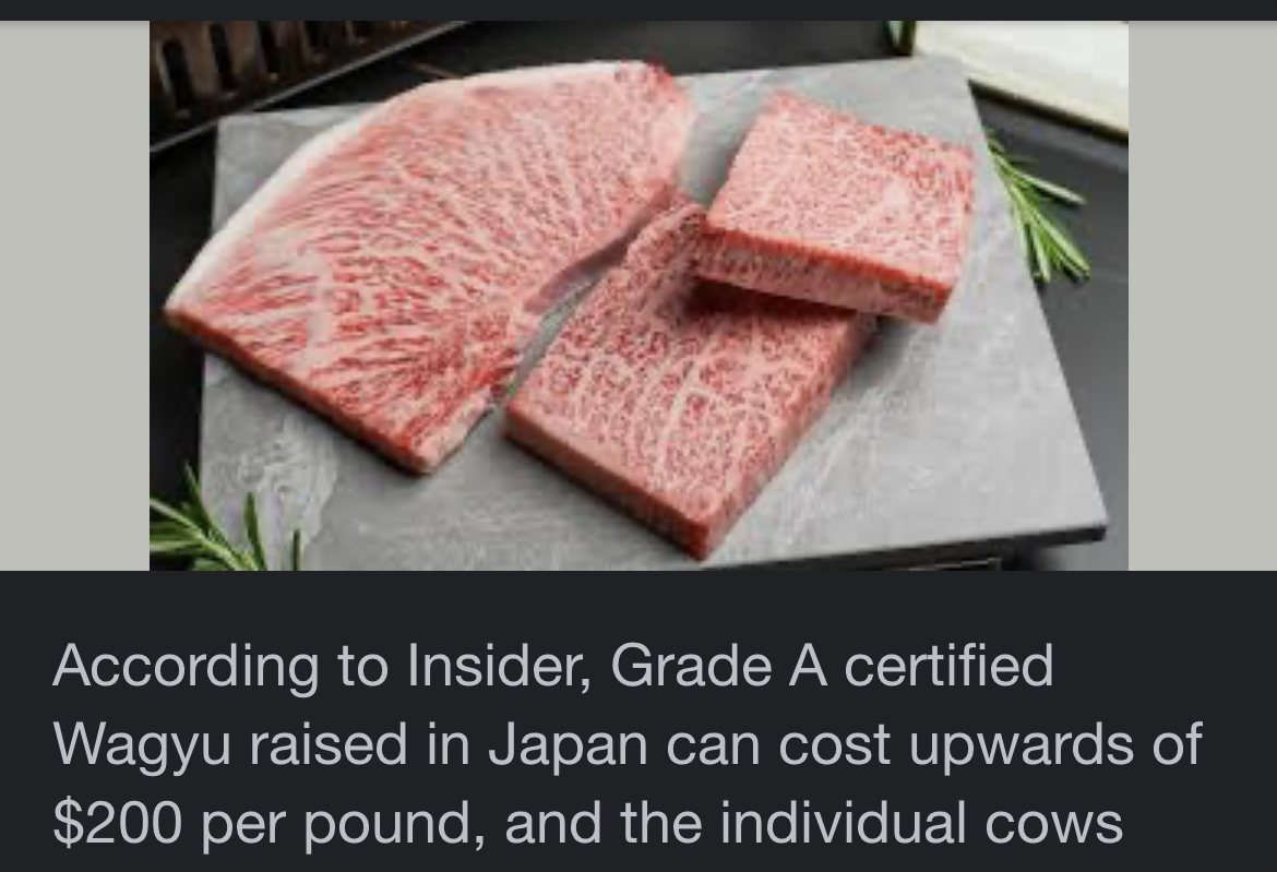 The SMV of landwhales | Page 2 | Looksmax - Men's Self-Improvement ...