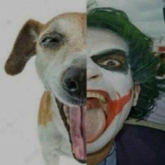 4d3bd32f 8bd5 4a6d bd97 2b919f99415b