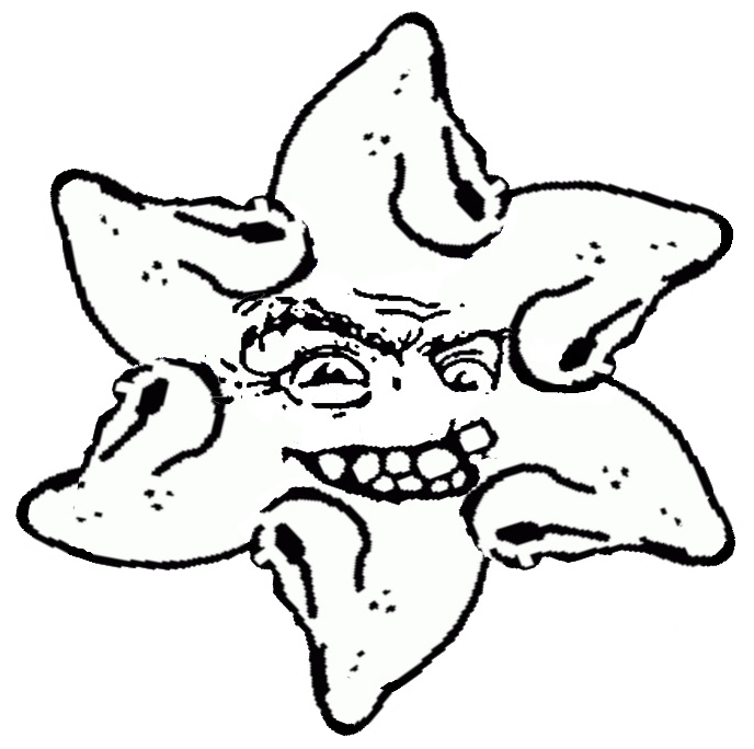The Hooked Nose Star