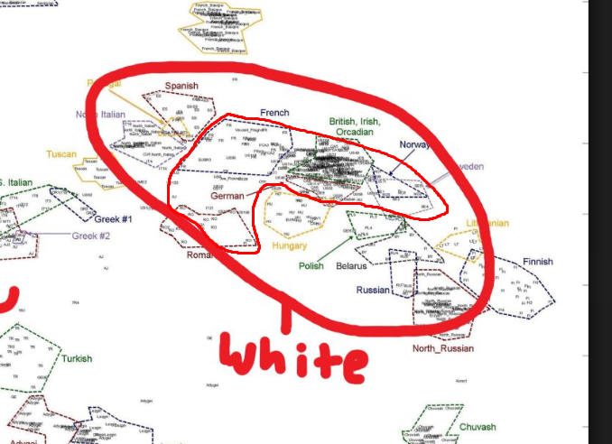 1668447784421