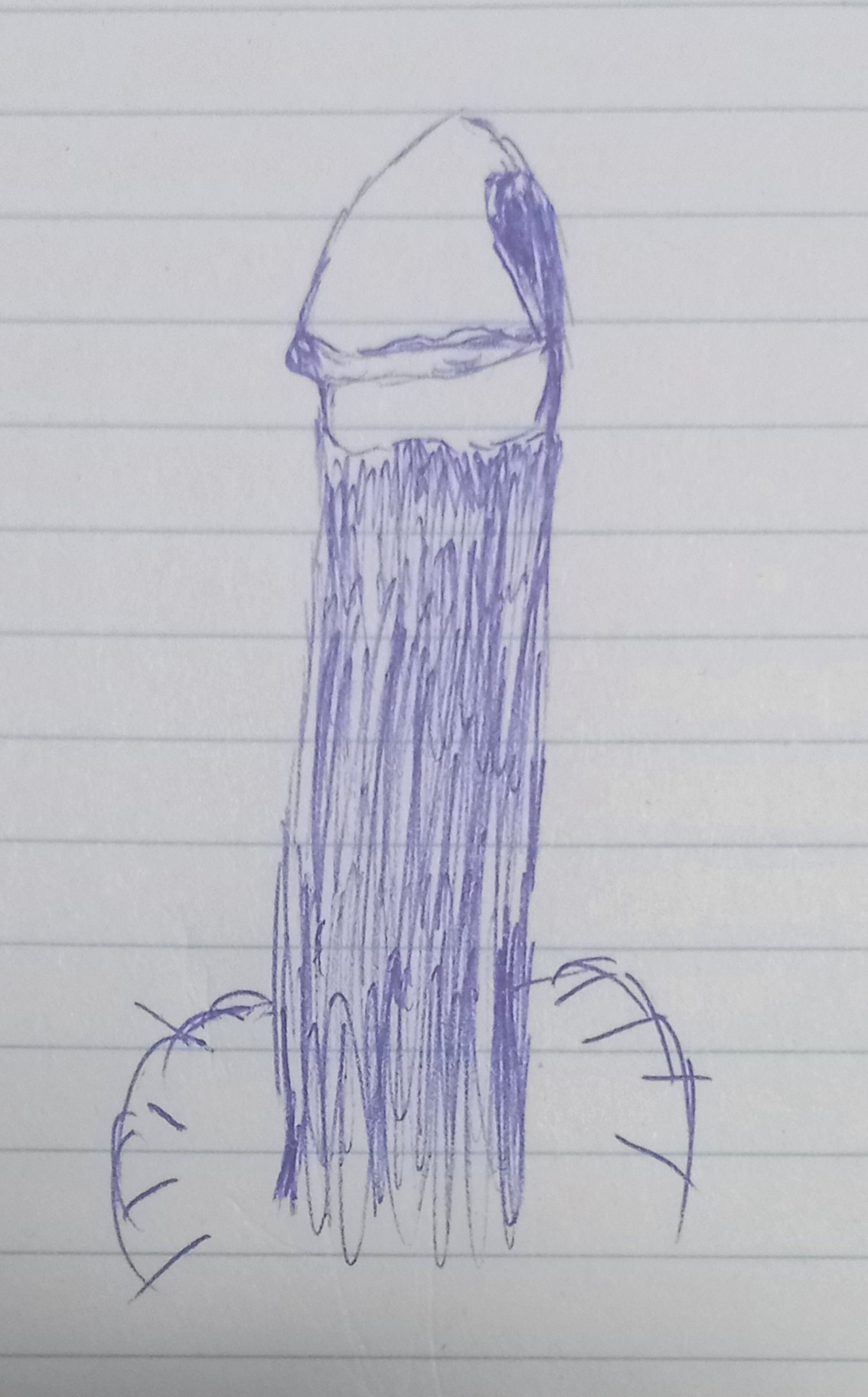 20221115 204950