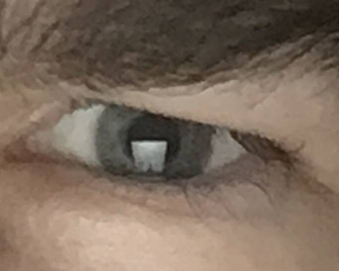 5378F220 EDCF 4DAC 9FD2 92DA64E2F218