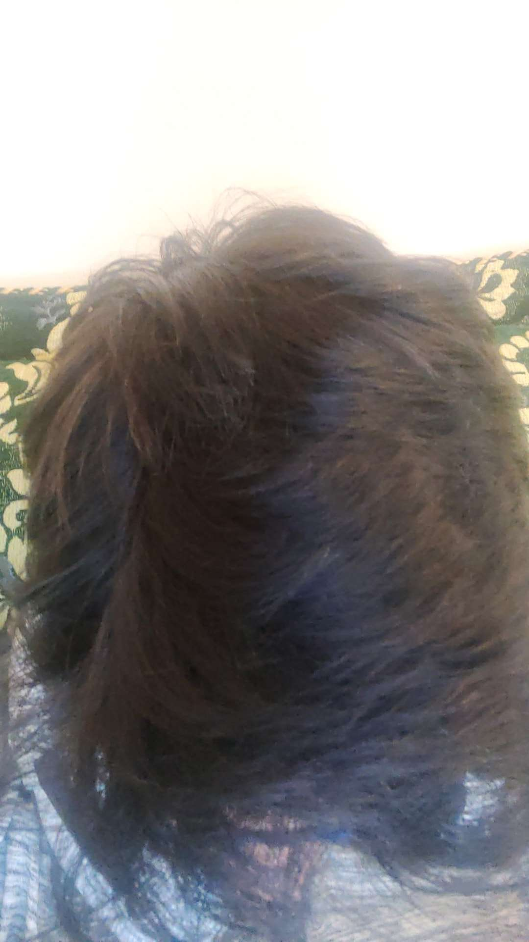 1668694676581