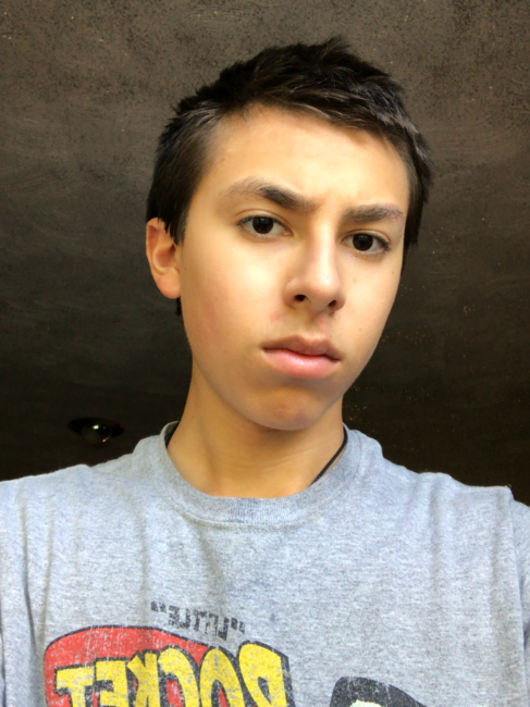 Mepic4