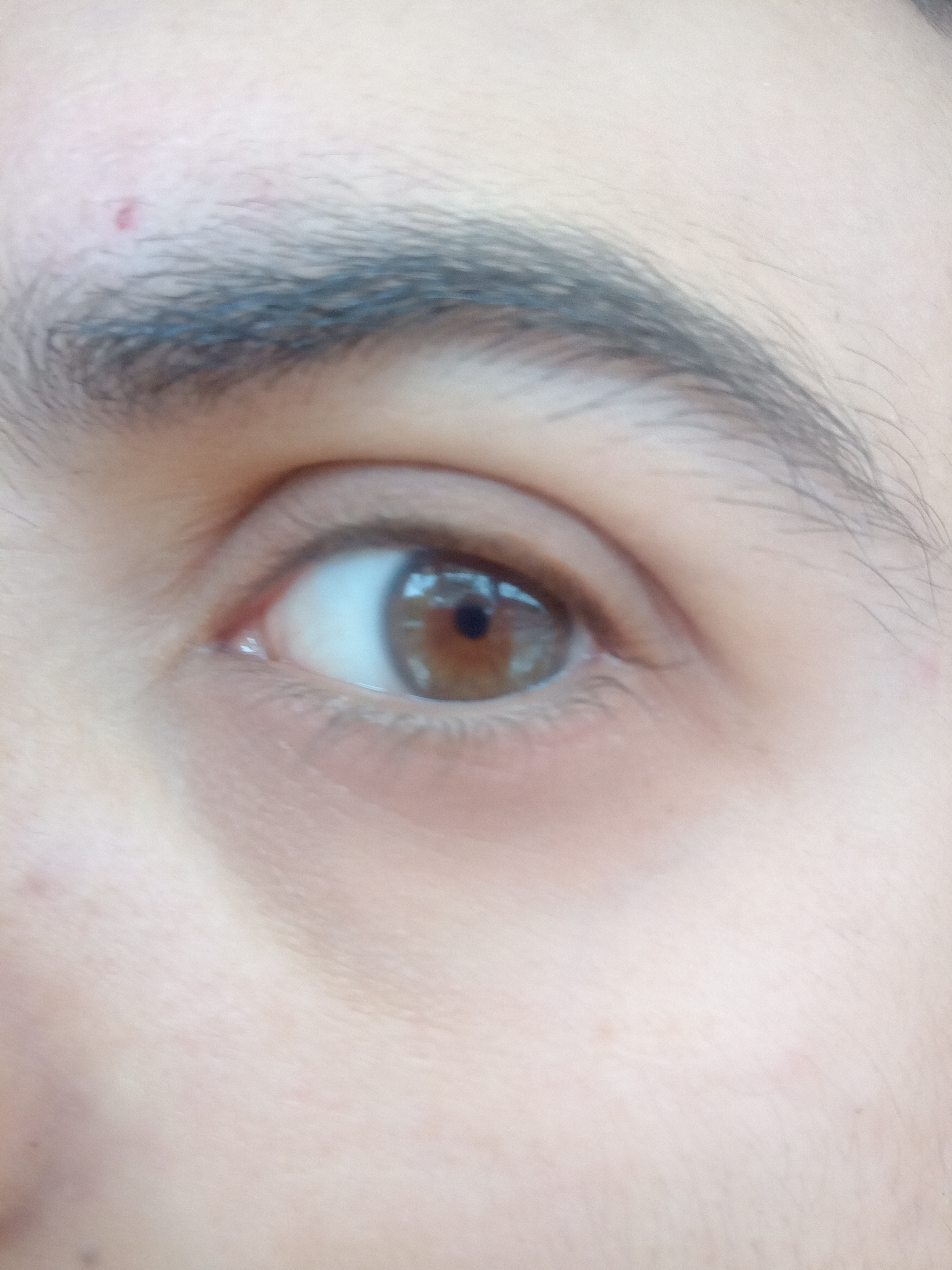 IMG 20221117 133143 611